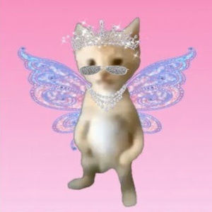 Meet your Posher, Madilyn